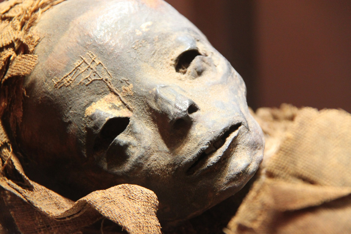 egyiptomi múmia